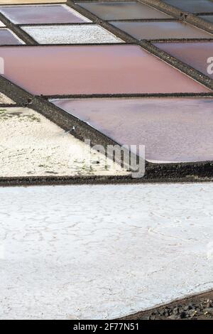 Spanien, Kanarische Inseln, Insel Lanzarote, Südwestküste, Las salinas de Janubio (Salinen von Janubio) Stockfoto