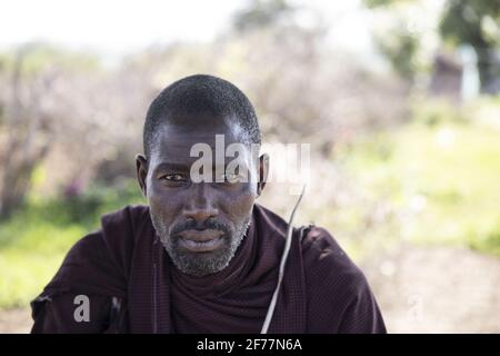 Tansania, WMA (Wildlife Management Area) von Randilen, Boma Melembuki Mengoru, Porträt eines Massai-Einwohners Stockfoto