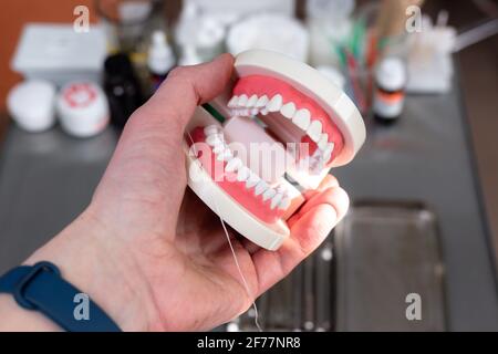 Mock up Kiefer mit Zähnen hält in der Hand Stockfoto