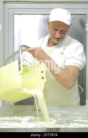 Frankreich, Ariege, Engomer, Le Moulin Gourmand, Herstellung von Bethmänekäse (L'Estive), einem Pyrenäen-Tome aus roher Kuhmilch, gießt der Käsehersteller den Quark in die Formen Stockfoto