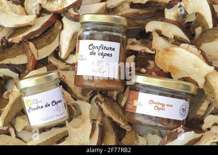 Frankreich, Dordogne, Perigord Pourpre, Monfaucon, die Farm von Cap Blanc zertifiziert in HVE (hoher Umweltwert), Wildpilze aus Perigord (trocken und dehydriert) in Scheiben, Pulver, Marmelade und Chutney Stockfoto