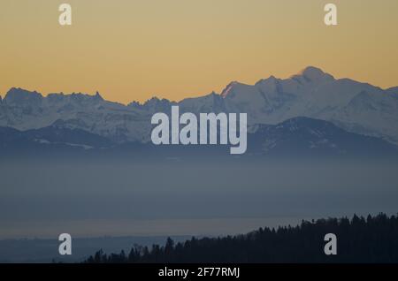 Schweiz, Waadt, Jura, Blick auf die Mont-Blanc-Bergkette von Le Suchet Stockfoto