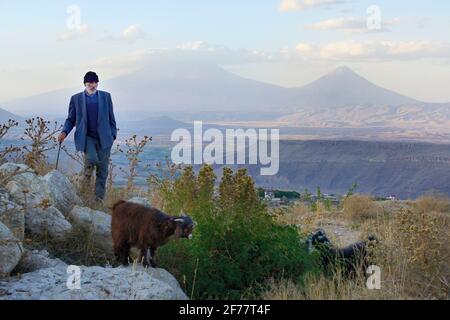 Iran, Westaserbaidschanische Provinz, Hirte auf den Höhen von Maku, mit Groß-Ararat (5,137 m, links) und Klein-Ararat (3,896 m, rechts) im Hintergrund Stockfoto