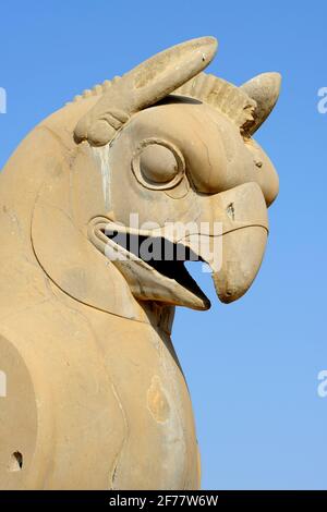 Iran, Persepolis, von der UNESCO zum Weltkulturerbe erklärt, Huma (Homa) Vogelkolonne Hauptstadt, (ca. 500 v. Chr.) der Huma Vogel soll nie zur Ruhe kommen, sein ganzes Leben lang unsichtbar hoch über der Erde fliegen und nie auf dem Boden aufsteigen Stockfoto