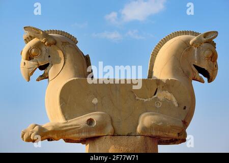 Iran, Persepolis, von der UNESCO zum Weltkulturerbe erklärt, Huma (Homa) Vogelkolonne Hauptstadt, (ca. 500 v. Chr.) der Huma Vogel soll nie zur Ruhe kommen, sein ganzes Leben lang unsichtbar hoch über der Erde fliegen und nie auf dem Boden aufsteigen Stockfoto