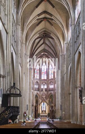 Frankreich, Pyrenees Atlantiques, Bayonne, Kathedrale Sainte Marie oder Notre Dame de Bayonne, das Kirchenschiff im Osten Stockfoto