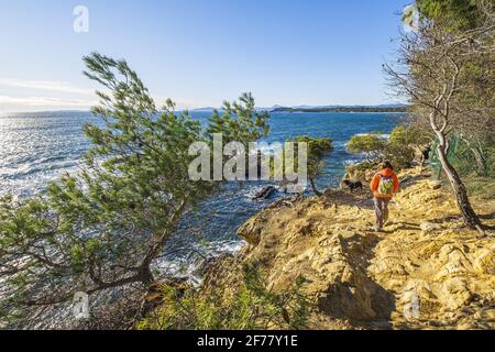 Frankreich, Var, Bormes-les-Mimosas, Wandern auf dem Küstenweg in der Nähe von Bregançon Fort Stockfoto