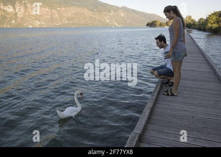 Frankreich, Savoie, Lac du Bourget, Aix les Bains, Riviera of the Alps, Auf dem Fussgängerweg über dem Wasser die 26 km lange Promenade beginnt in der Nähe des Grand Port von Aix les Bains und auf einem kleinen Weg entlang des Lac du Bourget wird auf den Erhalt der Flora und Fauna aufmerksam gemacht Stockfoto