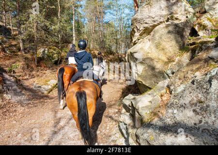 Frankreich, seine et Marne, Fontainebleau-Wald, Arbonne la Foret, Reitzentrum von Arbonne, Reiten im Wald Stockfoto