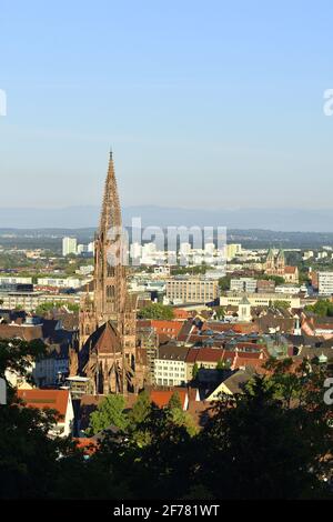 Deutschland, Baden Württemberg, Freiburg im Breisgau, Blick vom Schlossberg mit dem Münster und der Herz-Jesu-Kirche im Hintergrund Stockfoto