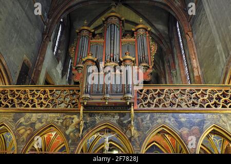 Frankreich, Bas Rhin, Straßburg, Altstadt, UNESCO-Weltkulturerbe, Rue de la Nuee Bleue, Kirche Saint Pierre le Jeune, Chorleinwand aus dem 13. Jahrhundert, Silbermann-Orgel aus dem Jahr 1780 Stockfoto