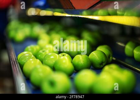 Transport von frisch geernteten Äpfeln in einer Lebensmittelfabrik zum Verkauf. Grüner Apfel. Stockfoto