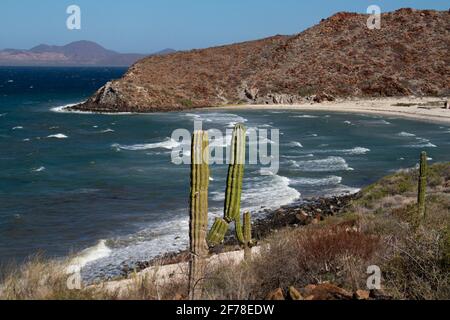 Wüste und Meereslandschaft Stockfoto