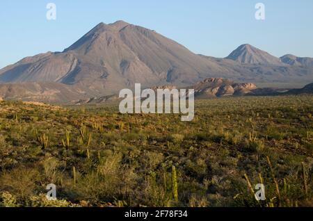 Vulkan Las Tres Vírgenes Stockfoto