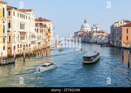 Eiskunstläue in Venedig mit dem Canal Grande und der Basilika Santa Maria della Salute, Italien Stockfoto