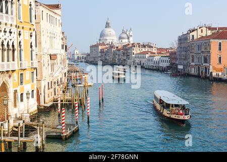 Eiskunstläue in Venedig mit dem Canal Grande und der Basilika Santa Maria della Salute, Italien Stockfoto