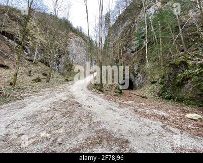 Verlassene Bahntunneleinfahrt der ehemaligen Ischler Bahn-Lokalbahn im Salzkammergut, Österreich Stockfoto