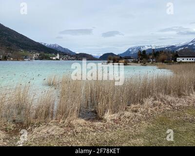 Das Seeufer des Wolfgangsees in Abersee, Österreich an einem Frühlingsmorgen Stockfoto