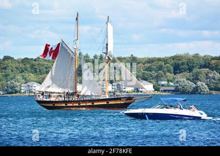 Brockville Canada nimmt an der TALL SHIPS CHALLENGE® Great Lakes Series Teil, die alle drei Jahre in dieser Region stattfindet, und Brockville nimmt seit 2013 Teil. Die nächste geplante Great Lakes Tour findet 2022 statt.Tall Ships, die Tall Ships, einschließlich der Bluenose II, und andere Wasserfahrzeuge in Brockville, Kanada. Verschiedene Ansichten von Veranstaltungen mit hohen Schiffen an der Brockville Waterfront am Blockhouse Island Parkway, Centeen Park und Hardy Park. Stockfoto