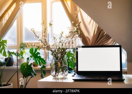 Ein Arbeitsplatz zu Hause mit weißem Bildschirm Laptop für mockup, blühende Zweige in einer Vase auf dem Schreibtisch mit Raum Innenhintergrund in Sonnenuntergang Licht. Freiberuflich Stockfoto