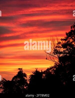 Die Silhouette des SS-Accomac der Geisterflotte der Mallows Bay im Potomac River bei Sonnenuntergang. Stockfoto