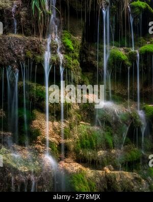 Intime Wasserströme, die eine moosige Felswand hinunterstürzen. Stockfoto