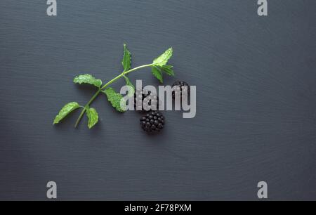 Flache Aufnahme von drei Brombeeren und kleinem grünen Zweig auf grauem texturiertem Hintergrund. Vitamine in frischen Früchten Konzept. Stockfoto