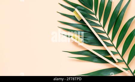 Umweltfreundliche Bambuszahnbürste und grüne Handfläche hinterlassen auf pastellbeigem Hintergrund. Zwei natürliche Zahnbürsten aus Holz als plastikfreies Zahnpflegeprodukt Stockfoto