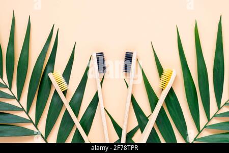 Umweltfreundliche Bambus-Zahnbürsten und grüne Palmblätter auf pastellbeigem Hintergrund. Natürliche Zahnbürsten aus Holz als plastikfreies Zahnpflegeprodukt Stockfoto