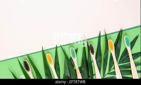 Umweltfreundliche Bambuszahnbürsten und Palmblätter auf pastellbeige und grünem Hintergrund. Bunte natürliche Zahnbürsten aus Holz als Kunststoff-freie Zahnbürste Stockfoto