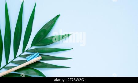 Umweltfreundliche Bambuszahnbürste und grüne Handfläche hinterlassen auf pastellblauem Hintergrund. Natürliche Zahnbürste aus Holz als plastikfreies Zahnpflegeprodukt. Null Stockfoto