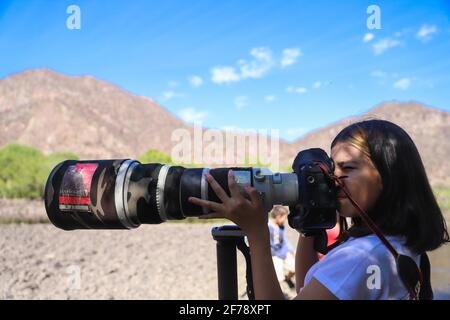 Ein Mädchen namens Camila Gutierrez Diaz fotografiert Landschaft, Natur und Tierwelt mit einer Canon 1Dx Mark II Kamera und einem 500 mm Canon f4 Objektiv oder Teleobjektiv auf dem Yaqui River, der durch El Novillo, Sonora, Mexiko, führt. 500 mm (Foto von Luis Gutierrez / Norte Photo) Una Niña de nombre Camila Gutierrez Diaz, toma una fotografia de paisaje, naturaleza y vida salvaje con una camara Canon 1Dx Mark II y un lente o telefono 500 mm Canon f4 en el rio Yaqui a su paso por El Novillo, Sonora, Mexiko. Camuflaje (Foto: Luis Gutierrez / Norte Photo) Stockfoto