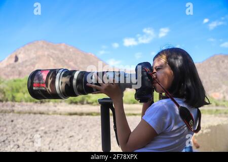 Ein Mädchen namens Camila Gutierrez Diaz fotografiert Landschaft, Natur und Tierwelt mit einer Canon 1Dx Mark II Kamera und einem 500 mm Canon f4 Objektiv oder Teleobjektiv auf dem Yaqui River, der durch El Novillo, Sonora, Mexiko, führt. 500 mm (Foto von Luis Gutierrez / Norte Photo) Una Niña de nombre Camila Gutierrez Diaz, toma una fotografia de paisaje, naturaleza y vida salvaje con una camara Canon 1Dx Mark II y un lente o telefono 500 mm Canon f4 en el rio Yaqui a su paso por El Novillo, Sonora, Mexiko. Camuflaje (Foto: Luis Gutierrez / Norte Photo) Stockfoto