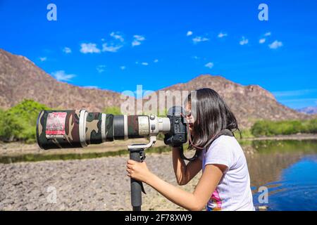 Ein Mädchen namens Camila Gutierrez Diaz fotografiert Landschaft, Natur und Tierwelt mit einer Canon 1Dx Mark II Kamera und einem 500 mm Canon f4 Objektiv oder Teleobjektiv auf dem Yaqui River, der durch El Novillo, Sonora, Mexiko, führt. 500 mm (Foto von Luis Gutierrez / Norte Photo) Una Niña de nombre Camila Gutierrez Diaz, toma una fotografia de paisaje, naturaleza y vida salvaje con una camara Canon 1Dx Mark II y un lente o telefono 500 mm Canon f4 en el rio Yaqui a su paso por El Novillo, Sonora, Mexiko. Camuflaje (Foto: Luis Gutierrez / Norte Photo) Stockfoto