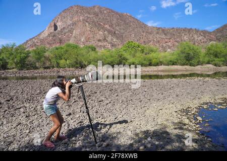 Ein Mädchen namens Camila Gutierrez Diaz fotografiert Landschaft, Natur und Tierwelt mit einer Canon 1Dx Mark II Kamera und einem 500 mm Canon f4 Objektiv oder Teleobjektiv auf dem Yaqui River, der durch El Novillo, Sonora, Mexiko, führt. 500 mm (Foto von Luis Gutierrez / Norte Photo) Una Niña de nombre Camila Gutierrez Diaz, toma una fotografia de paisaje, naturaleza y vida salvaje con una camara Canon 1Dx Mark II y un lente o telefono 500 mm Canon f4 en el rio Yaqui a su paso por El Novillo, Sonora, Mexiko. Camuflaje (Foto: Luis Gutierrez / Norte Photo) Stockfoto