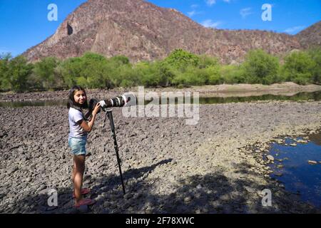 Ein Mädchen namens Camila Gutierrez Diaz fotografiert Landschaft, Natur und Tierwelt mit einer Canon 1Dx Mark II Kamera und einem 500 mm Canon f4 Objektiv oder Teleobjektiv auf dem Yaqui River, der durch El Novillo, Sonora, Mexiko, führt. 500 mm (Foto von Luis Gutierrez / Norte Photo) Una Niña de nombre Camila Gutierrez Diaz, toma una fotografia de paisaje, naturaleza y vida salvaje con una camara Canon 1Dx Mark II y un lente o telefono 500 mm Canon f4 en el rio Yaqui a su paso por El Novillo, Sonora, Mexiko. Camuflaje (Foto: Luis Gutierrez / Norte Photo) Stockfoto