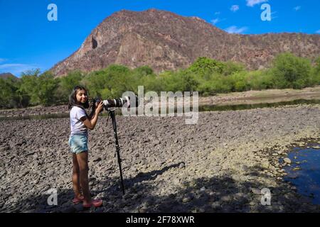 Ein Mädchen namens Camila Gutierrez Diaz fotografiert Landschaft, Natur und Tierwelt mit einer Canon 1Dx Mark II Kamera und einem 500 mm Canon f4 Objektiv oder Teleobjektiv auf dem Yaqui River, der durch El Novillo, Sonora, Mexiko, führt. 500 mm (Foto von Luis Gutierrez / Norte Photo) Una Niña de nombre Camila Gutierrez Diaz, toma una fotografia de paisaje, naturaleza y vida salvaje con una camara Canon 1Dx Mark II y un lente o telefono 500 mm Canon f4 en el rio Yaqui a su paso por El Novillo, Sonora, Mexiko. Camuflaje (Foto: Luis Gutierrez / Norte Photo) Stockfoto