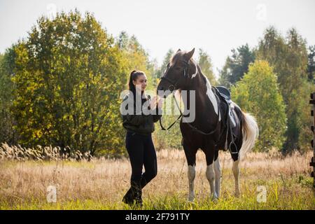 Ein junges Pferd und sein Reiter ein Mädchen gehen an einem Herbsttag gemeinsam durch ein Feld an einer Hecke. Stockfoto