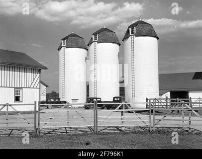 Barn und Silos auf Rich Farmland, Bucks County, Pennsylvania, USA, Marion Post Wolcott, U.S. Farm Security Administration, Juni 1939 Stockfoto