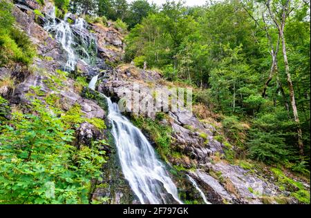 Todtnau Wasserfall im Schwarzwaldgebirge, Deutschland Stockfoto