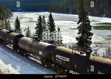 Ein kanadischer nationaler Güterzug, der mit Öltankwagen beladen ist Reisen entlang des Athabasca Flusses in einem bewaldeten Gebiet von Die felsigen Berge in Alberta können Stockfoto