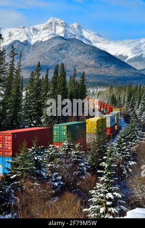 Ein kanadischer Güterzug mit einer Mischung aus Güterwagen, der durch ein Waldgebiet in den felsigen Bergen von Alberta, Kanada, fährt. Stockfoto