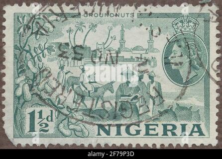 Die Briefmarke der philatelistischen Motivsammlung von Gösta Bodman begann 1950, die Briefmarke aus Nigeria, 1953. Motive der Erdnüsse-Ernte. Stockfoto