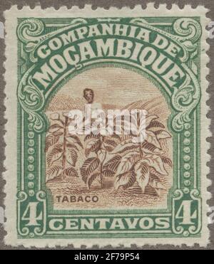 Die Briefmarke der philatelistischen Motivsammlung von Gösta Bodman begann 1950, die Briefmarke aus Mosambik, 1921. Anträge auf Tabakernte. Stockfoto