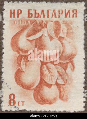 Stempel der Gösta Bodman's Philatelist-Zuordnung, begonnen 1950.die Briefmarke aus Bulgarien, 1957. Motive von Birnen. „Obstserie“. Stockfoto