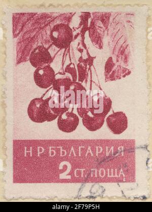 Stempel der Gösta Bodman's Philatelist-Zuordnung, begonnen 1950.die Briefmarke aus Bulgarien, 1956. Motive aus Kirschglas. Stockfoto