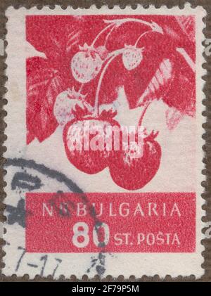 Stempel der Gösta Bodman's Philatelist-Zuordnung, begonnen 1950.die Briefmarke aus Bulgarien, 1956. Motive von Erdbeeren. „Obstserie“. Stockfoto