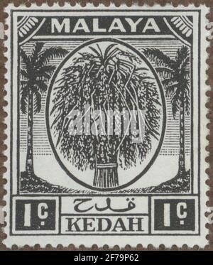 Stempel der Gösta Bodmans Philatelist-Motivsammlung, begonnen 1950, Stempel aus Kedah, 1912. Motive von Palmer und Risiko. Stockfoto