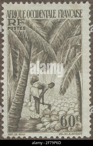Die Briefmarke der philatelistischen Motivsammlung von Gösta Bodman begann 1950, die Briefmarke aus dem französischen Westafrika, 1947. Anträge auf Beschaffung und Skalierung von Kokosnuss. Stockfoto
