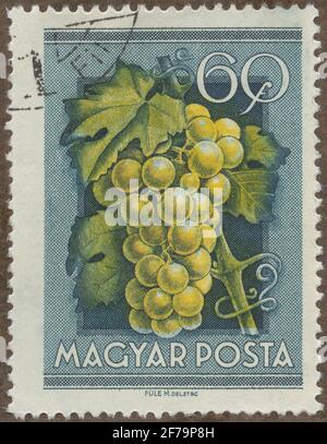 Briefmarke aus Gösta Bodmans Philatelistenauftrag, begann 1950, die Briefmarke aus Ungarn, 1954. Modus Motive. Stockfoto